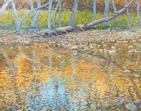 Sycamore Creek Reflections