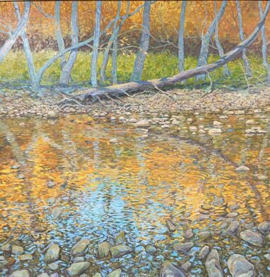 Sycamore Creek Reflections
