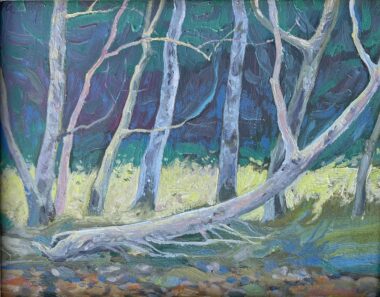 Sycamore Creek – Study (SOLD)